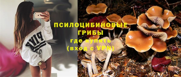 PSILOCYBIN Беломорск